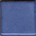 Blue Cornflower