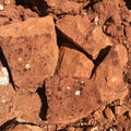 Plainsman Fire Red dry