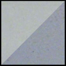 Cone 6 Porcelain (50# Box)