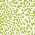 CR-41 Lime Crawl
