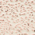 CR-51 Speckled Pink