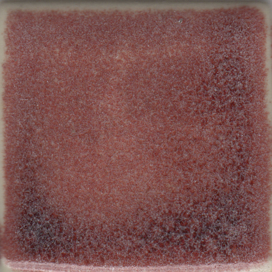 Snowy Plum