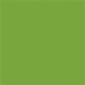 6211 Pea Green