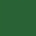 6265 Leaf Green