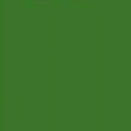 6271 Mint Green