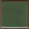 Green Shino