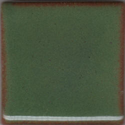 Green Shino 5lbs Dry