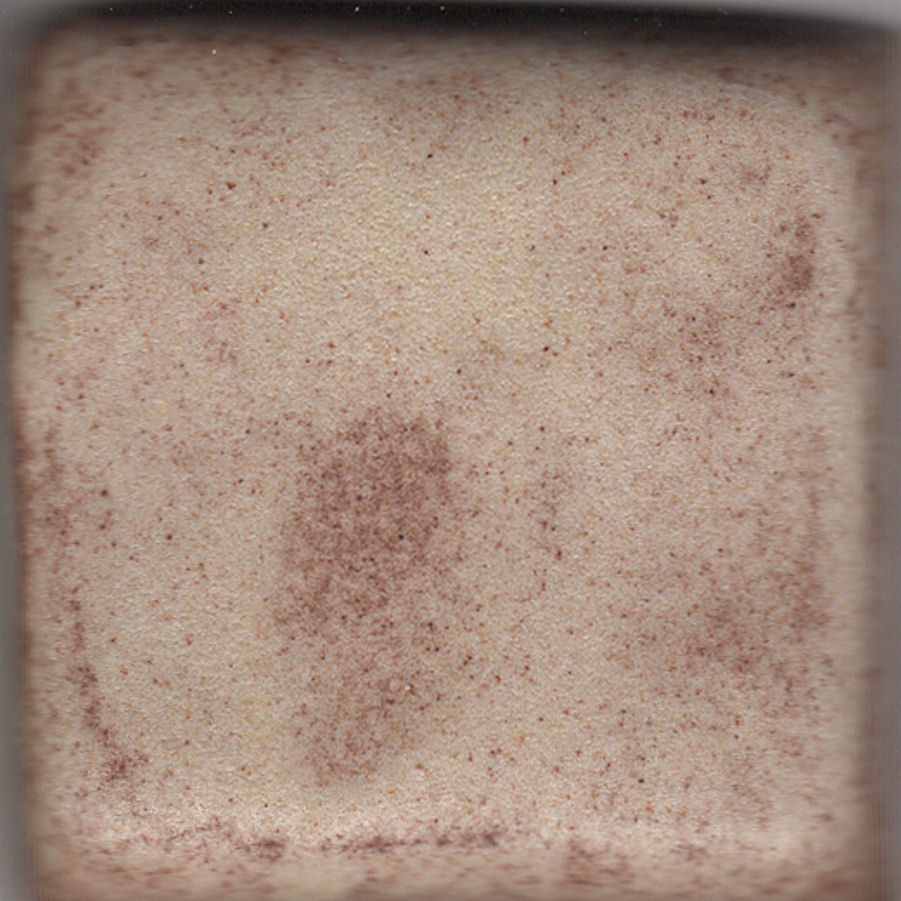 Mocha Shino 5lbs Dry