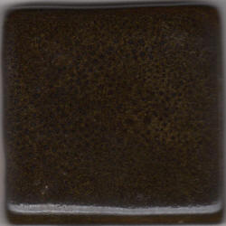 Coffee Bean