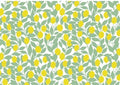 Decal, Lemon