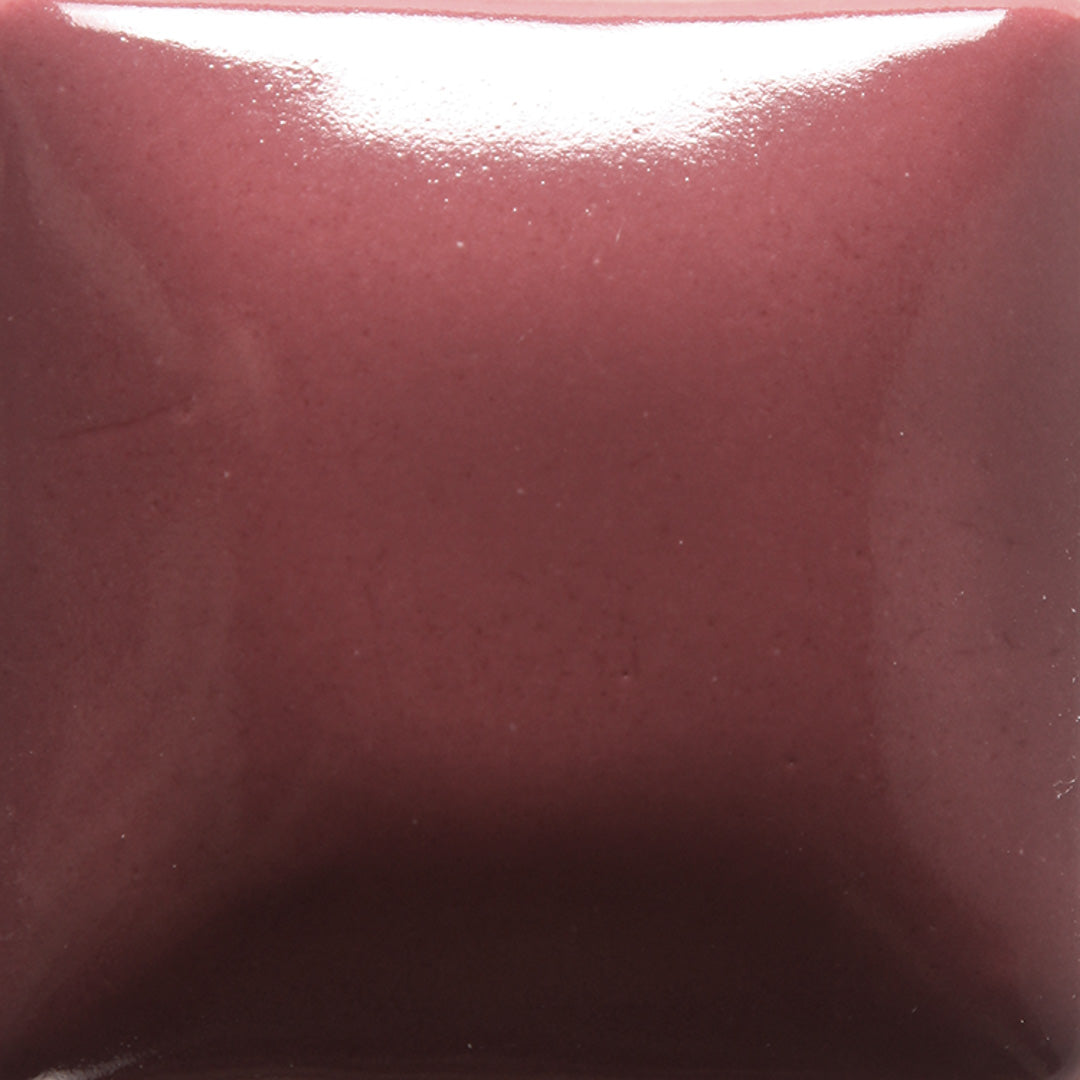 FN025 Raspberry Whip