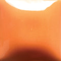 FN040 Pumpkin