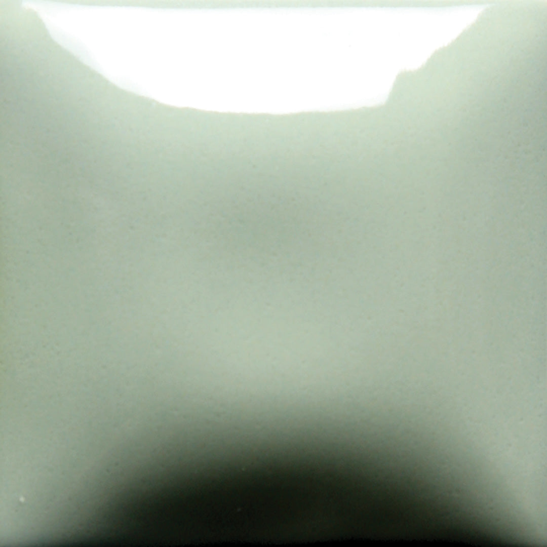 FN046 Sage