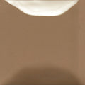 FN060 Mushroom