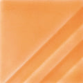 Orange Slice FN207