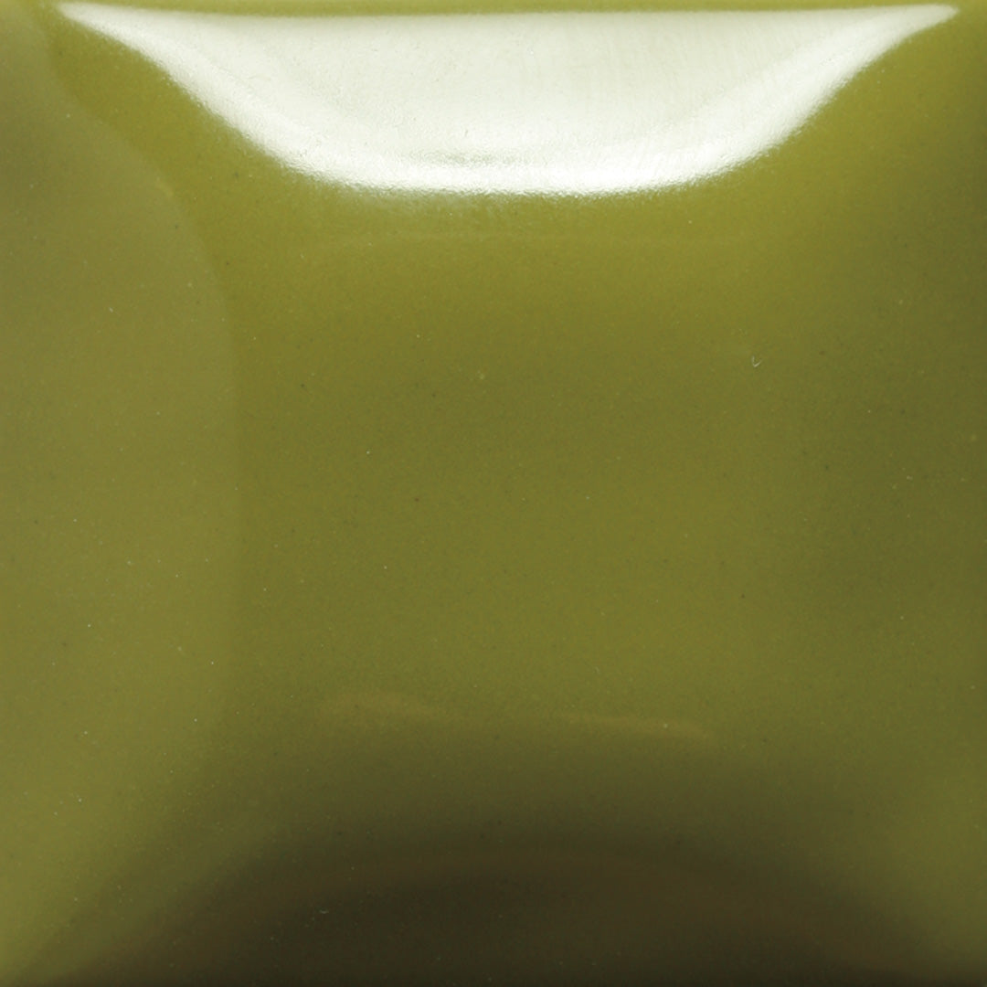 SC052 Toad-ily Green