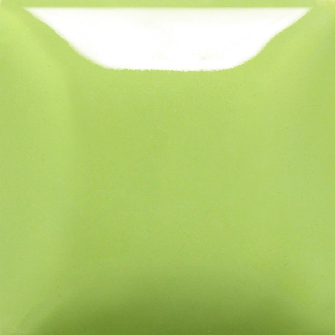 SC098 Slime Time