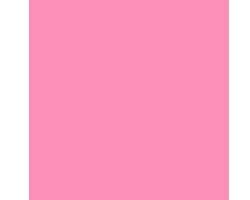 6000 Shell Pink