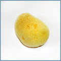 Silk Sponge #3