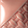 SW205 Coral
