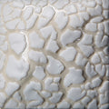 SW403 White Mudcrack