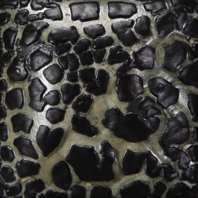 SW404 Black Mudcrack