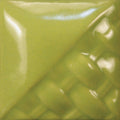 SW507 Bright Green Gloss