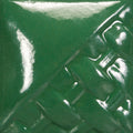 SW509 Dark Green Gloss