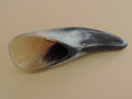 Water Buffalo Horn Tip Spoon