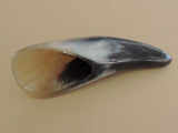 Water Buffalo Horn Tip Spoon
