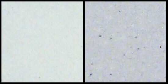 A-Clay White Stoneware, left: cone 6 oxidation, right: cone 6  reduction